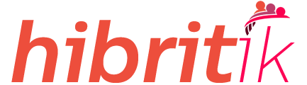 Hibritik logo